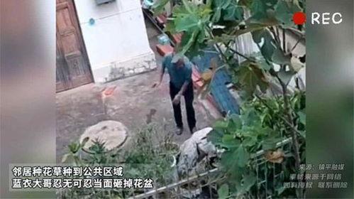 农村大树哥邻居爆料视频,揭秘农村大树哥神秘生活片段 第3张 农村大树哥邻居爆料视频,揭秘农村大树哥神秘生活片段 第3张